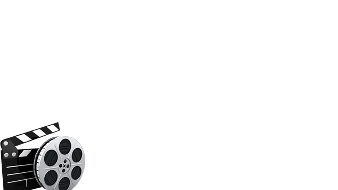 Circus Without Borders